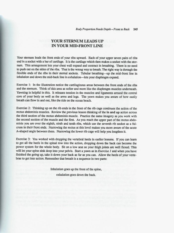 A Kinesthetic Legacy: The Life and Works of Barbara Clark - Image 2