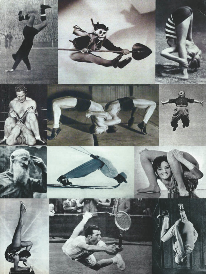 Suzanne Perrottet  - Bewegungen / Movements