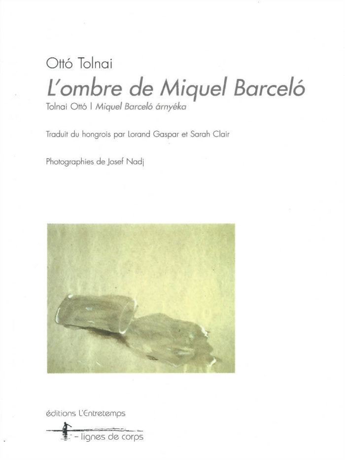 L'ombre de Miquel Barceló