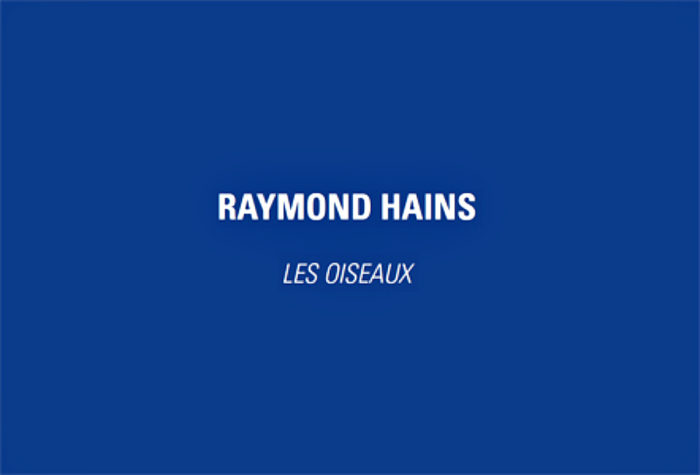 LES OISEAUX