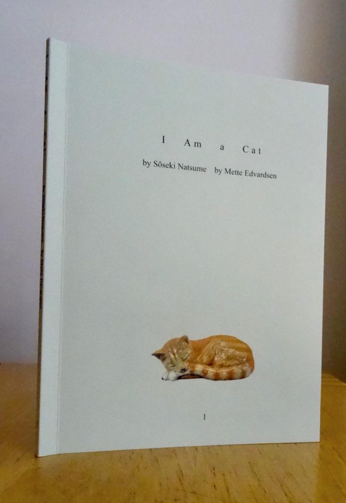 I Am a Cat - Image 2