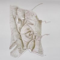 Cahier de Sentiers n°3 :  Sur le terrain – Image 2
