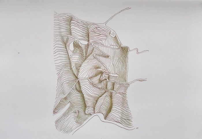Cahier de Sentiers n°3 :  Sur le terrain – Image 2
