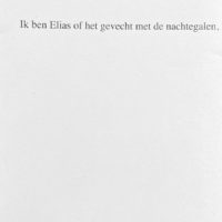 Ik ben Elias of het gevecht met de nachtegalen