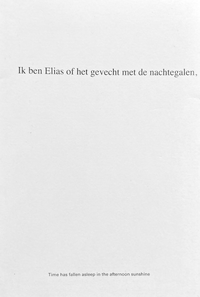 Ik ben Elias of het gevecht met de nachtegalen