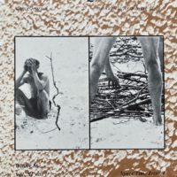 Contact Quarterly/Volume 11 #1