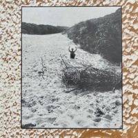 Contact Quarterly/Volume 11 #1 – Image 2
