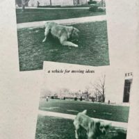 Contact Quarterly/Volume 8 #3/4 – Image 2