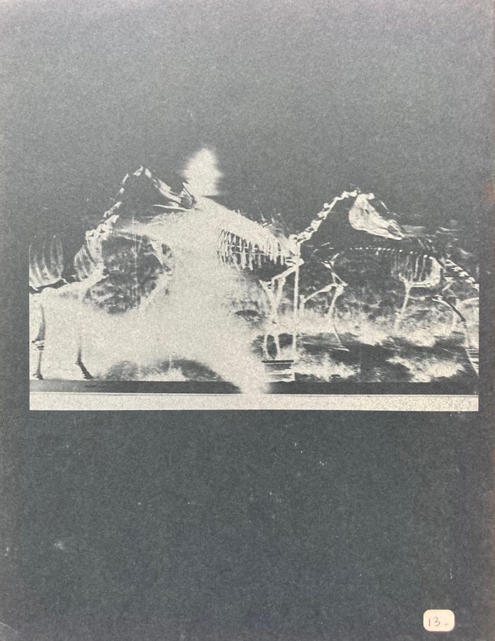 Contact Quarterly/Volume 6 #1 - Image 2