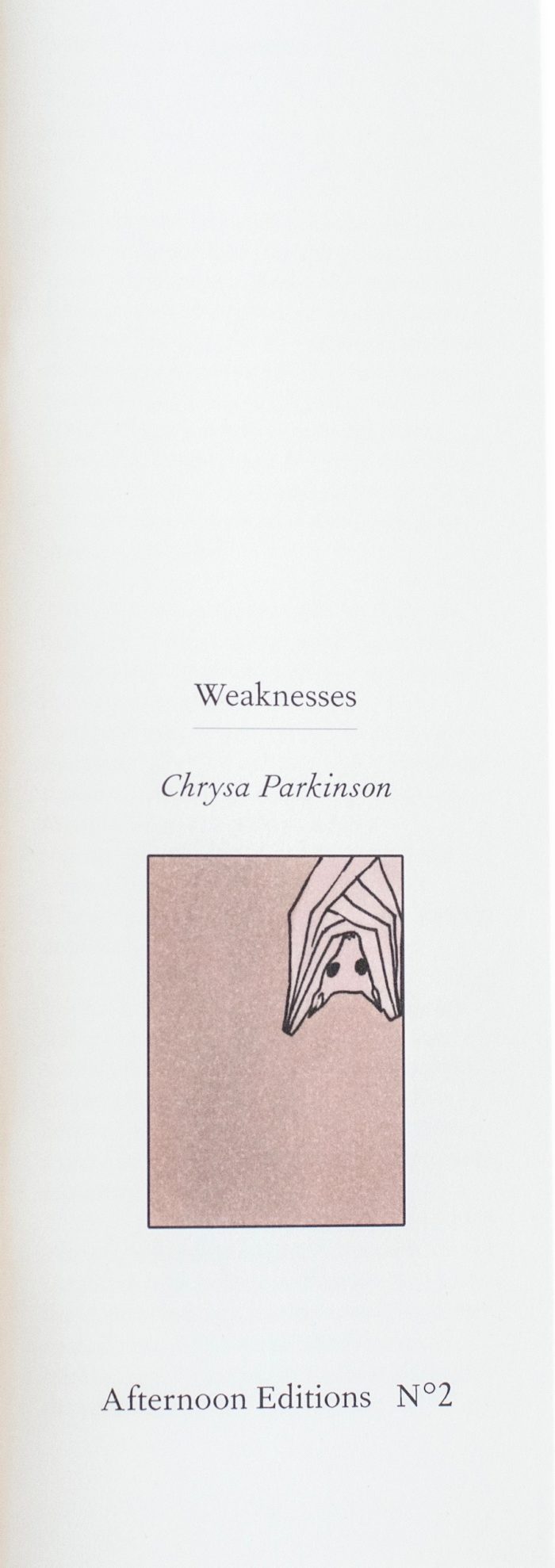Weaknesses