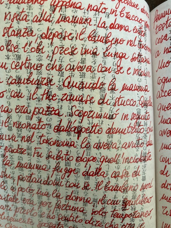 Il fucile da caccia - Image 2