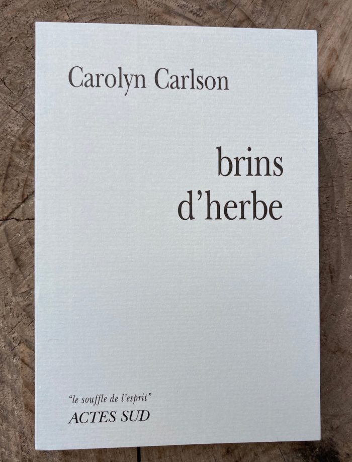 Brins d'herbe