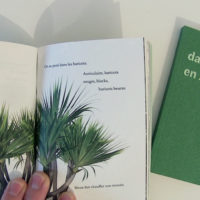 danceforplants en Ariège – Image 3