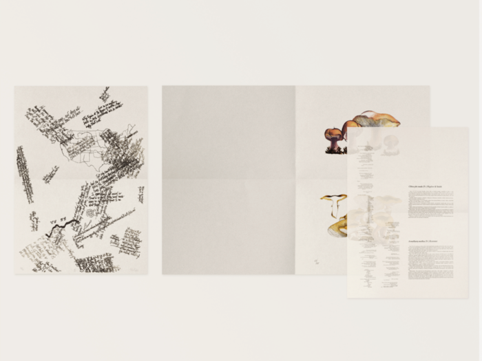John Cage: A Mycological Foray – Image 3