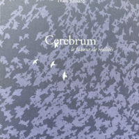 Cerebrum, le faiseur de réalités
