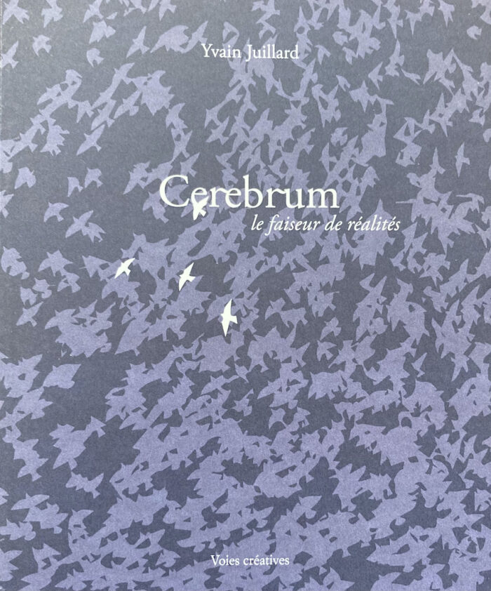 Cerebrum, le faiseur de réalités