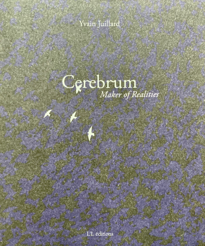 Cerebrum, Maker of realities