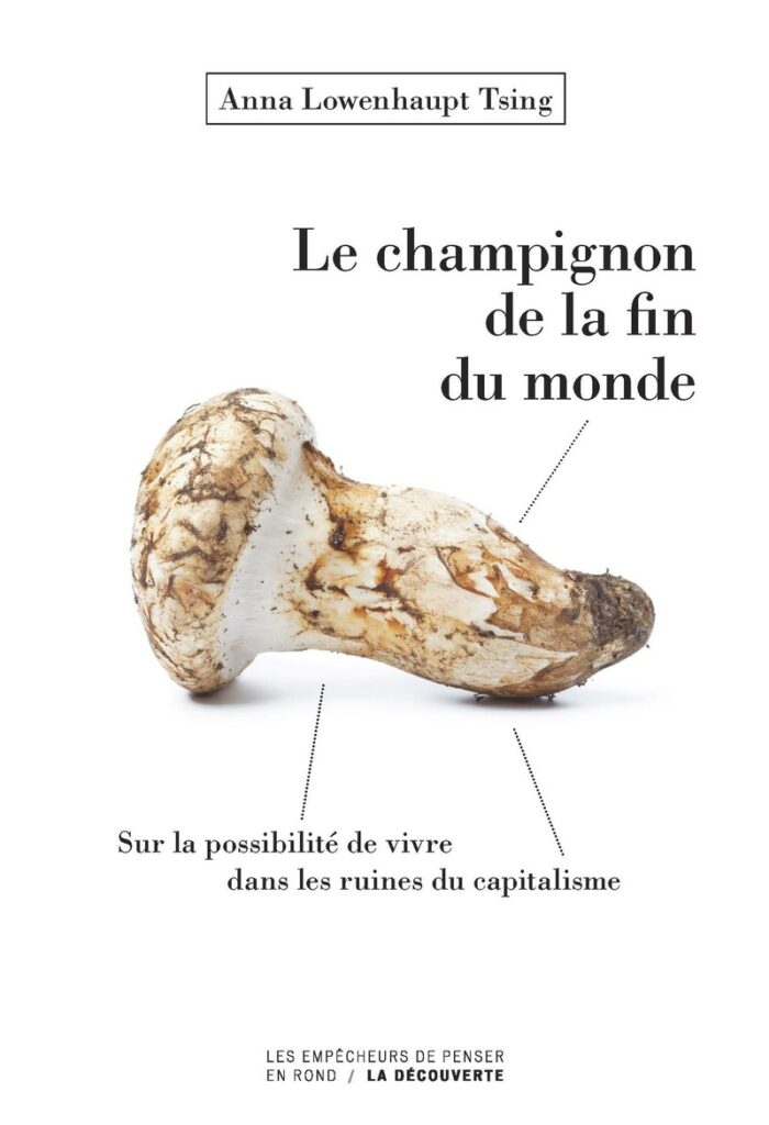 Le champignon de la fin du monde  -  Sur les possibilités de vivre dans les ruines du capitalisme