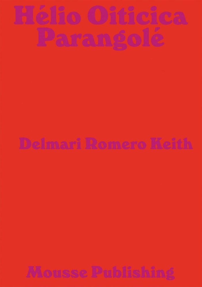 Hélio Oiticica - Parangolé – Between Revolt and Poetry