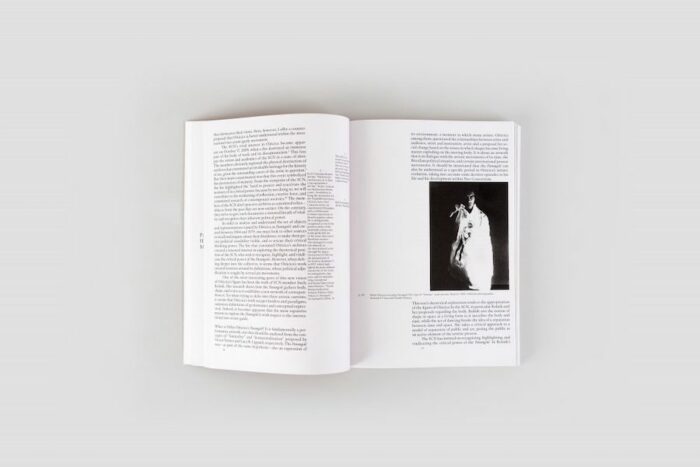Hélio Oiticica - Parangolé – Between Revolt and Poetry – Image 2
