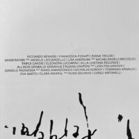 II Magazine Issue #0 - performance and publishing