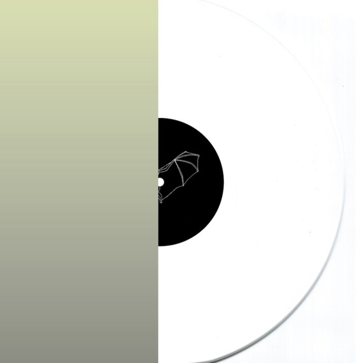 Livre d'images sans images (LP) - Image 2