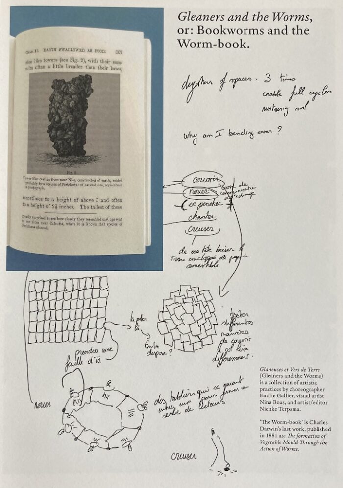 Gleaners and the Worms, or: Bookworms and the Worm-book