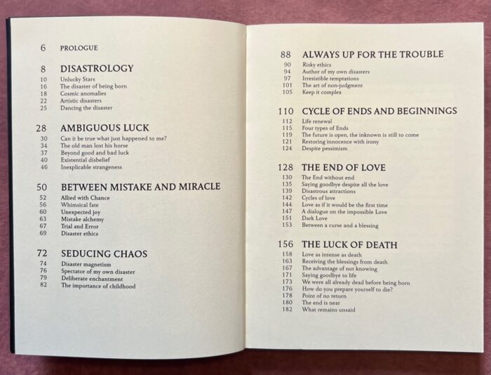 Lucky Disasters - Between the mistake and the miracle – Image 2
