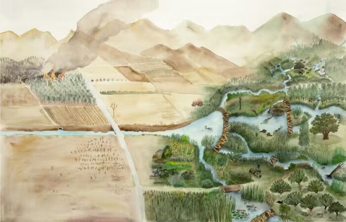 Rendre l'eau à la terre - Alliances dans les rivières face au chaos climatique – Image 2